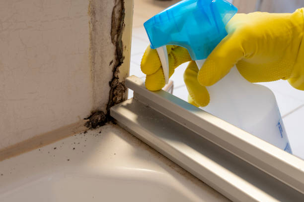 Best Post-Remediation Services in Sitka, AK