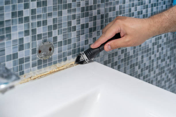 Best Emergency Mold Remediation in Sitka, AK