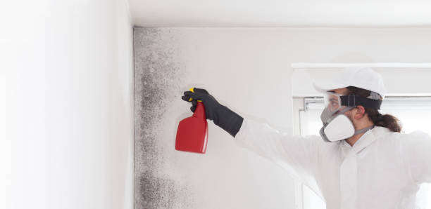 Best Post-Remediation Services in Sitka, AK